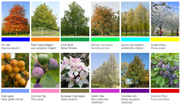 8 trees